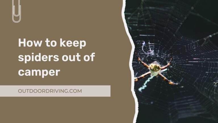 How to keep spiders out of camper: Say Goodbye to Spiders in Your Camper 2022