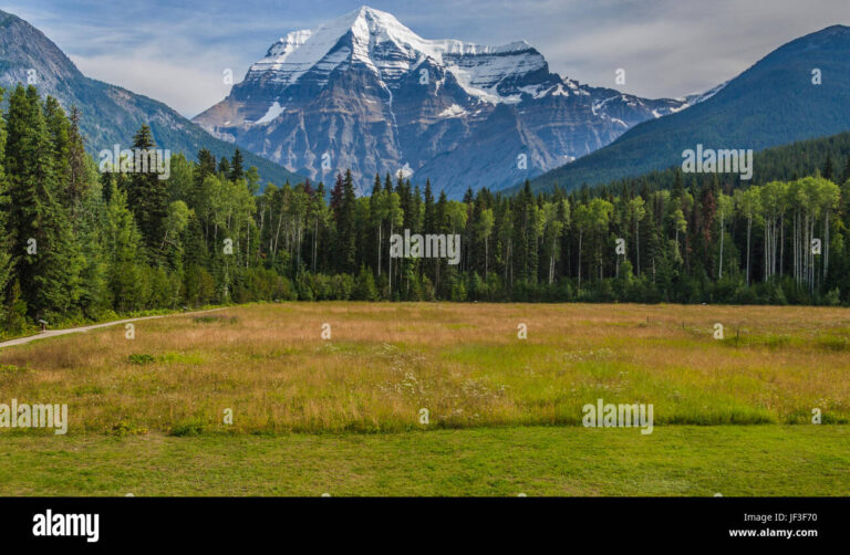 Which Biome is Prominent in North America