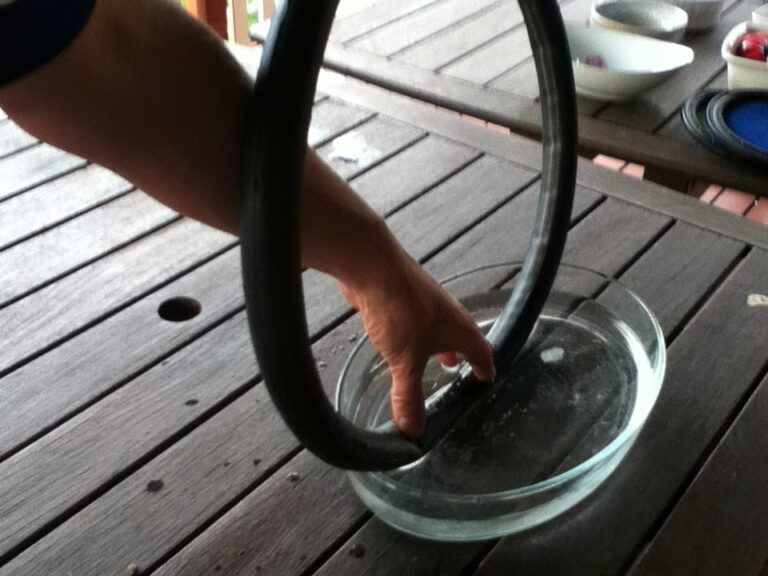 How to Find a Leak in a Bike Tire