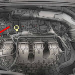 How Can You Determine Which Wheel on the Car is the Right Front Wheel